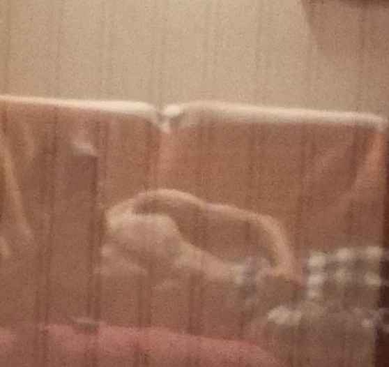 Profil de Abou-bakr, 23 ans, Escort Trans Belgique à Stabroek