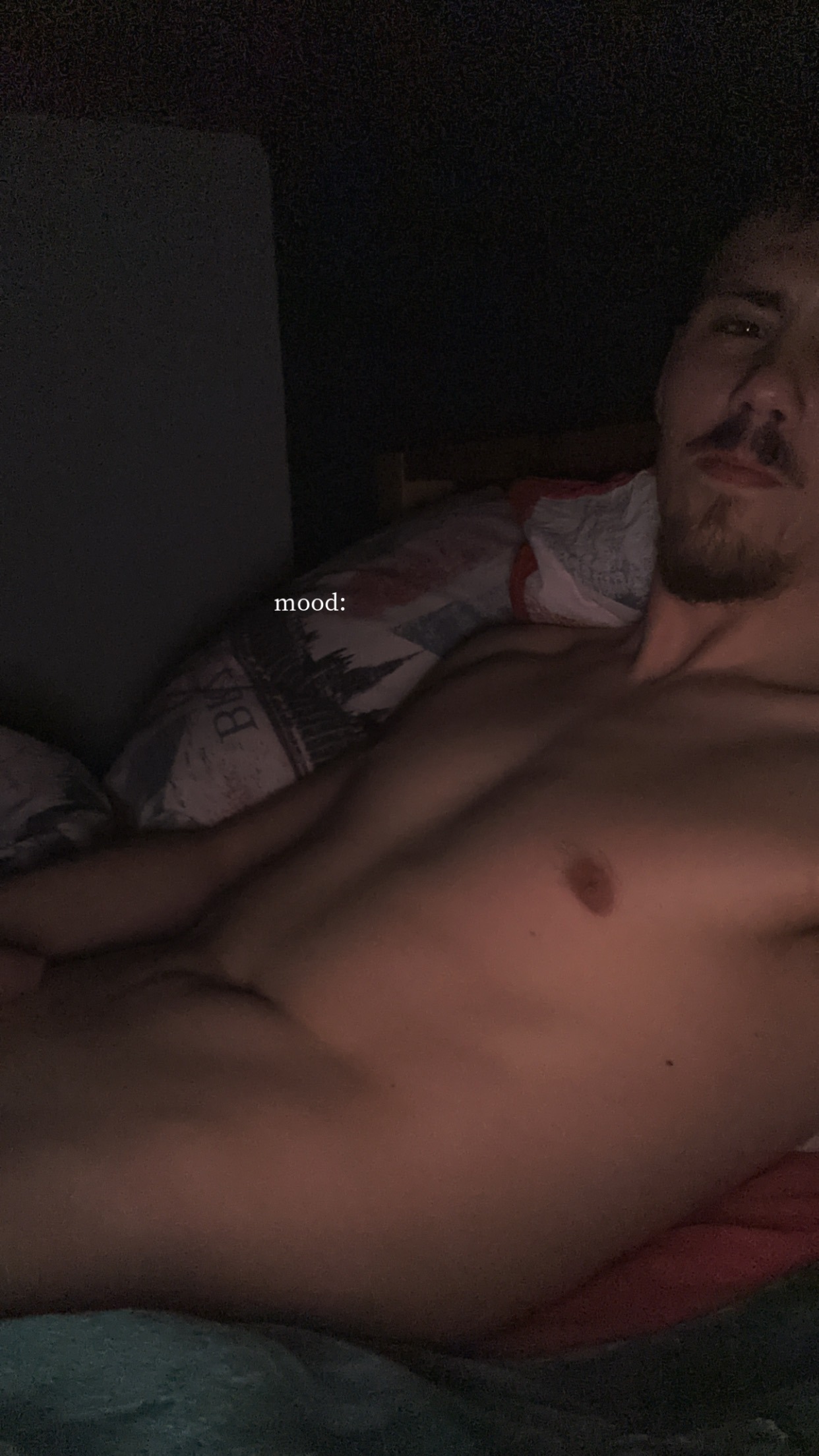 Profil de Nara, 24 ans, Escort Trans Belgique à Bertrix